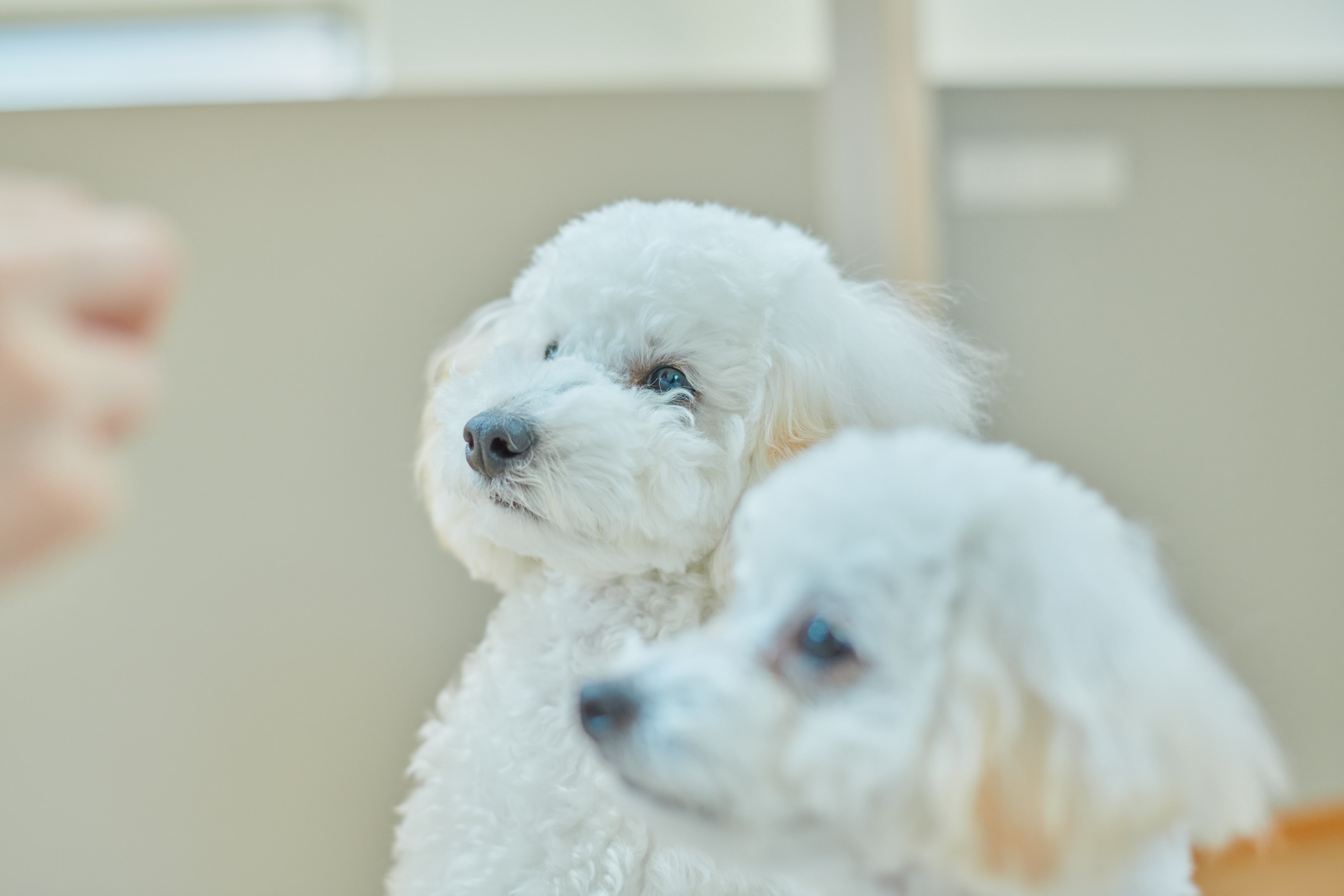 souのブランディングの画像17