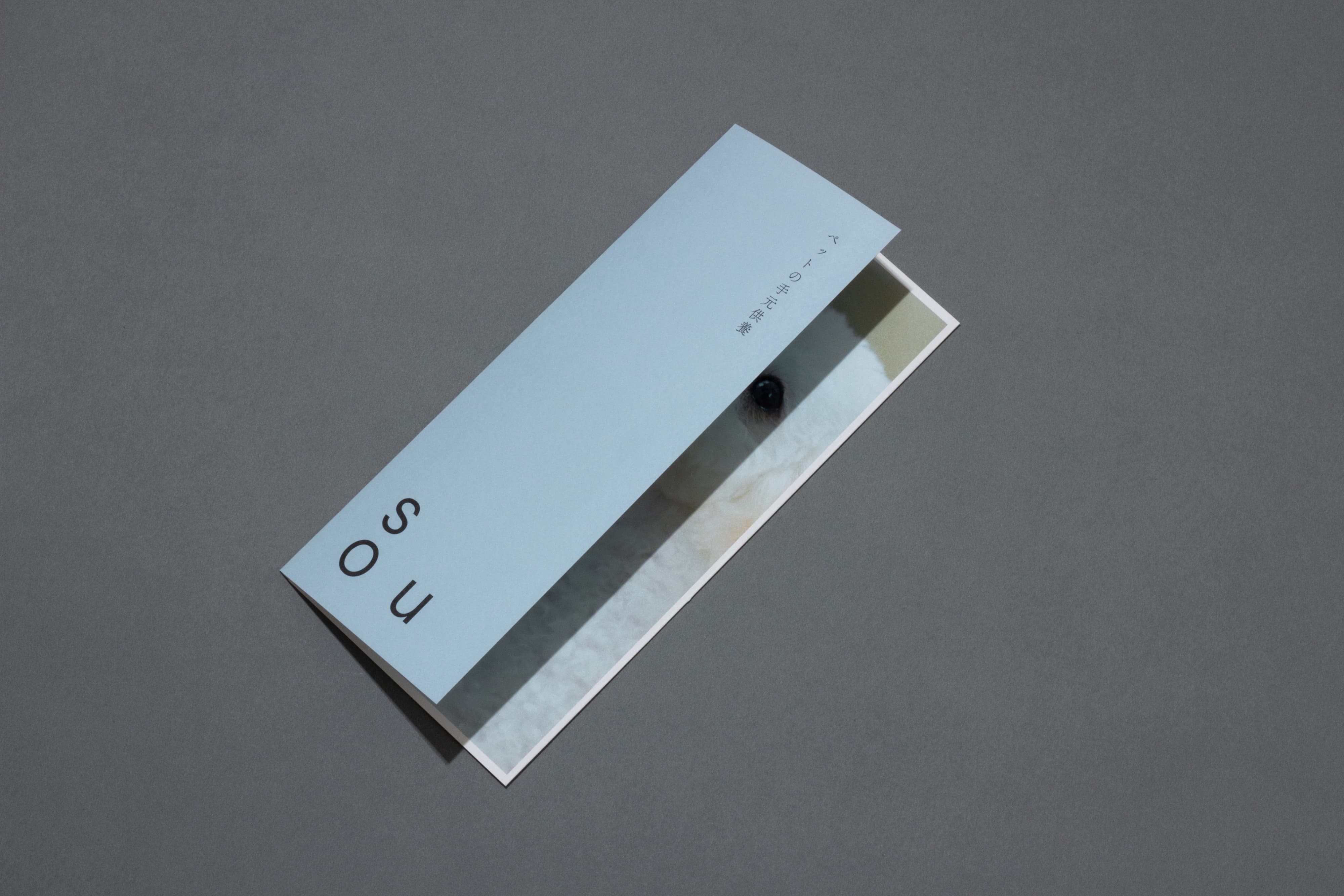 souのリーフレットの画像7