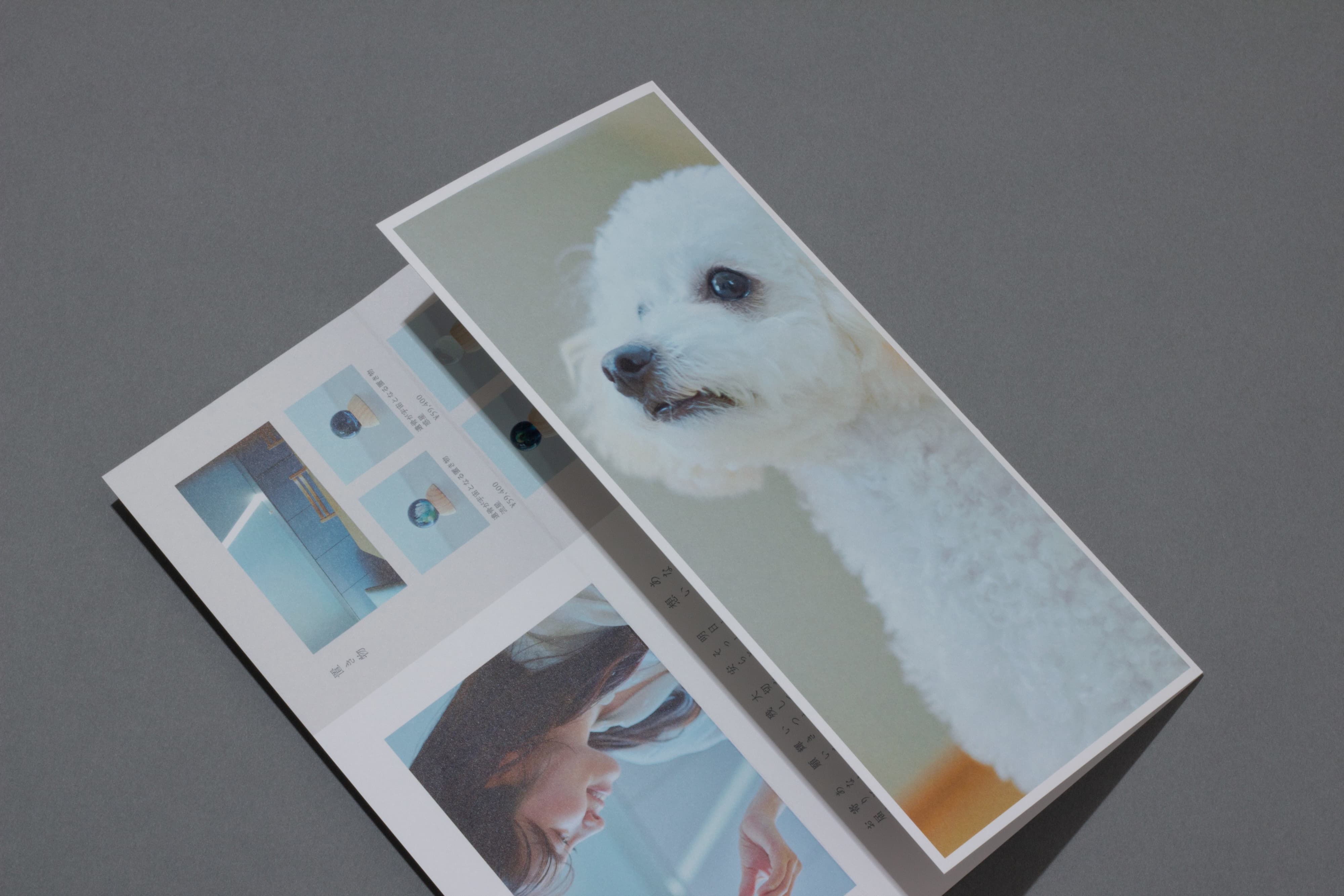 souのリーフレットの画像9